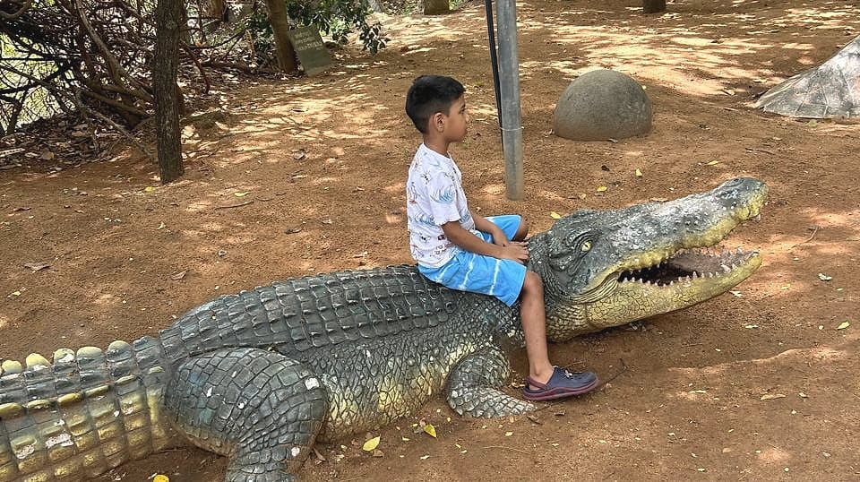 A boy sitting on a large crocodile sculpture on a shaded earth path in a park.